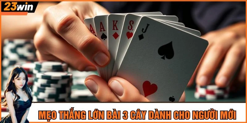 Mẹo thắng lớn bài 3 cây dành cho người mới tham gia