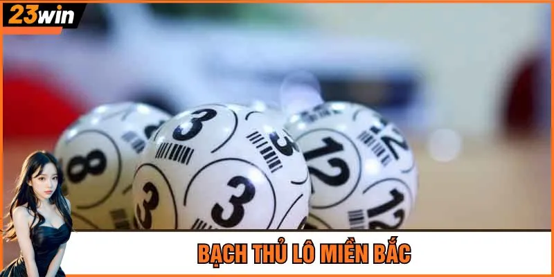 Bạch thủ lô miền Bắc