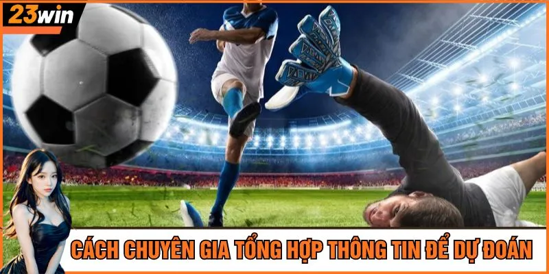 Cách chuyên gia tổng hợp thông tin để dự đoán