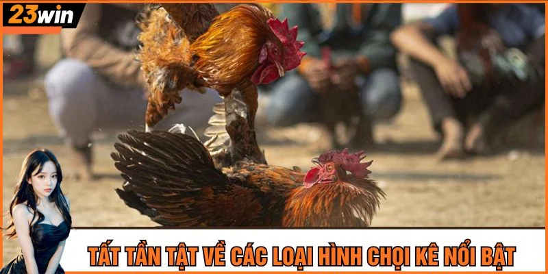 Tất tần tật về các loại hình chọi kê nổi bật tại đá gà 23Win