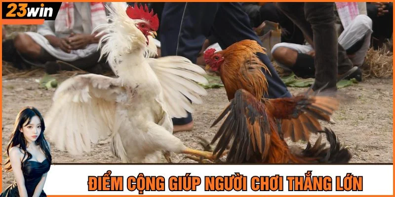 Điểm cộng giúp người chơi thắng lớn