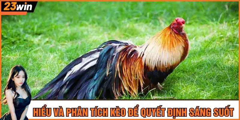 Hiểu và phân tích kèo để quyết định sáng suốt